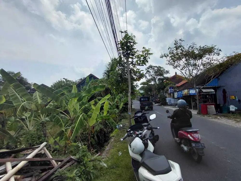 Disewakan tanah 3 are cocok villa area Canggu Badung Bali