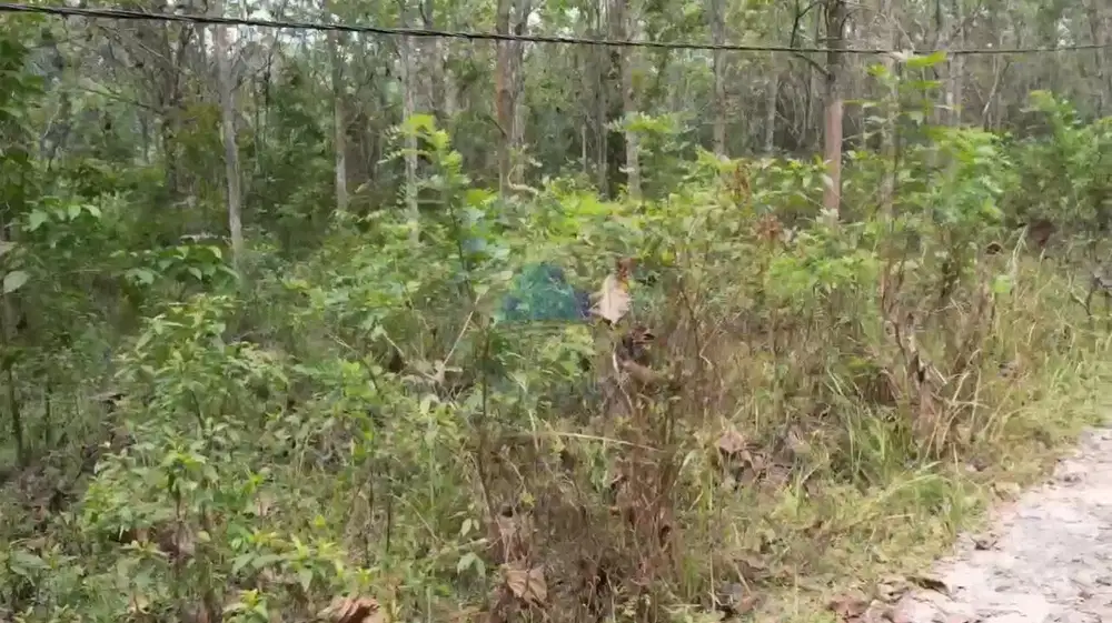 Jual Tanah di Jalan Raya Inten Jaya, Cimarga - Rangkas Bitung, Lebak