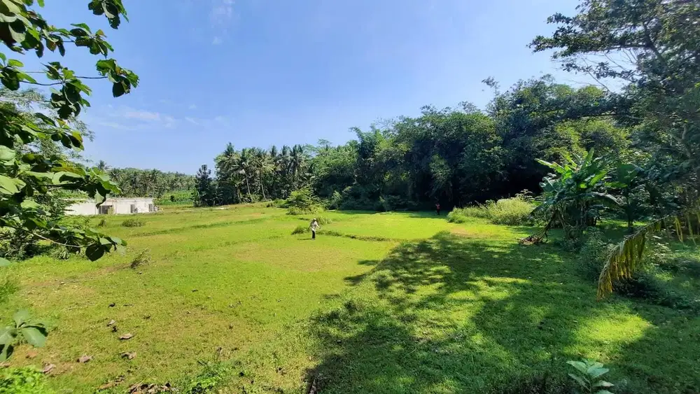 Dekat SMA N 1 Sentolo, Kavling SHM Siap Bangun