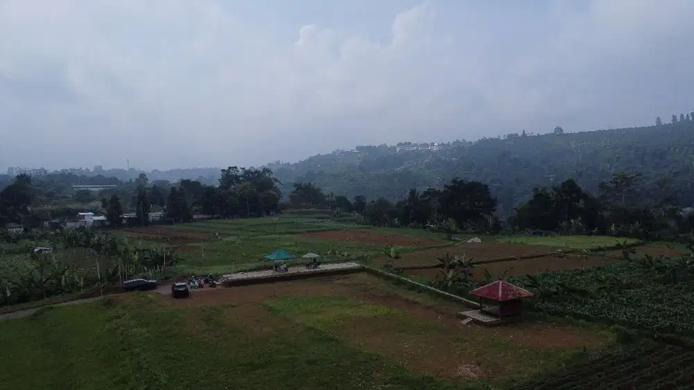 Tanah sangat murah mewah dekat jln utama puncak bogor