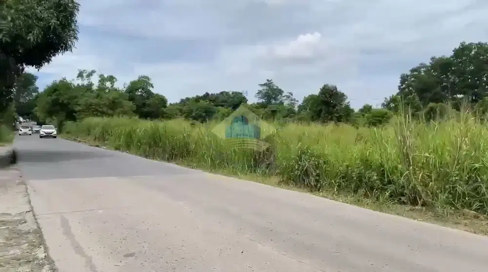 Jual Tanah di Jalan raya singabangsa, Tenjo - Bogor, Jawa Barat.