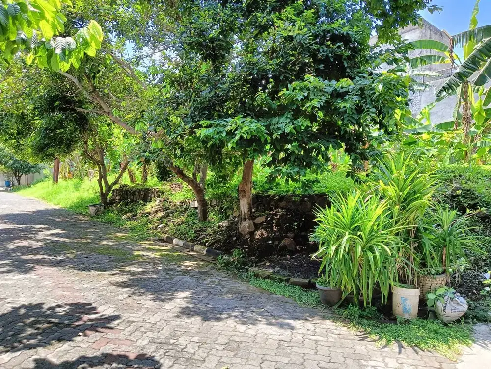 Tanah Dalam Perumahan Permata Semeru Telaga Bodas Candisari