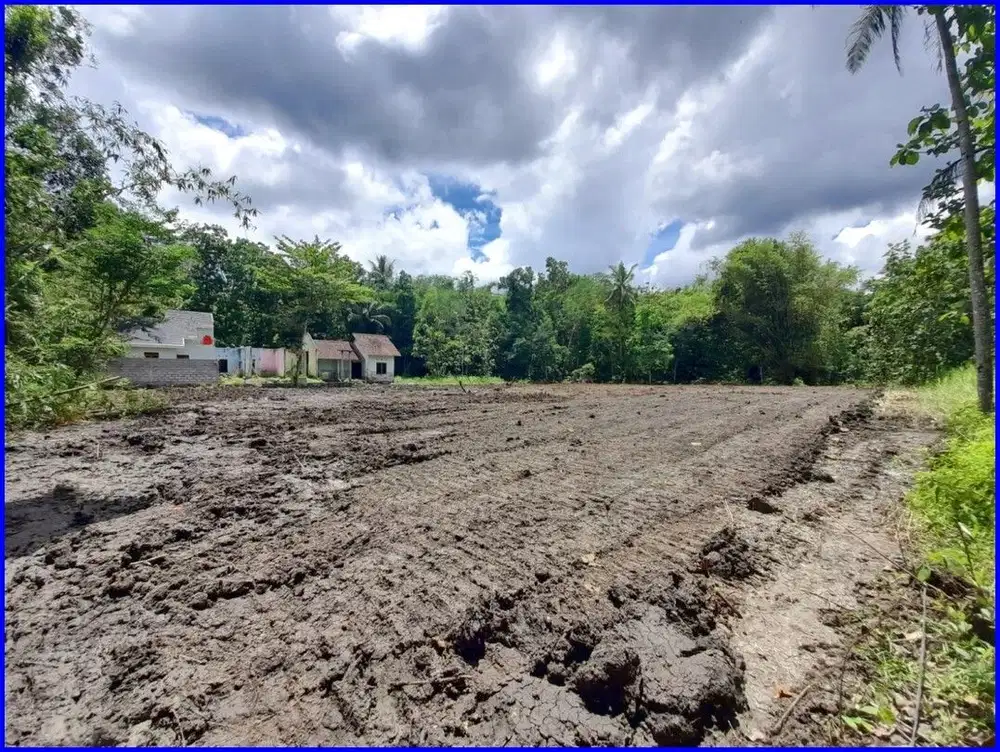 Jl.Ringroad Selatan, Dijual Tanah Yogyakarta 8 Menit Kampus UMY