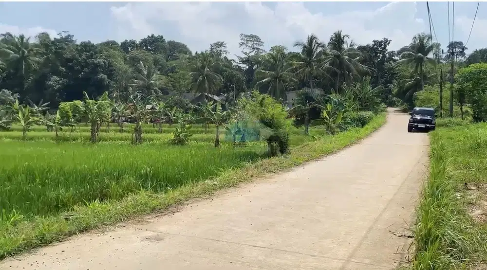 Jual Tanah Di Ds. Kemuning, Tunjung Teja - Serang, Banten