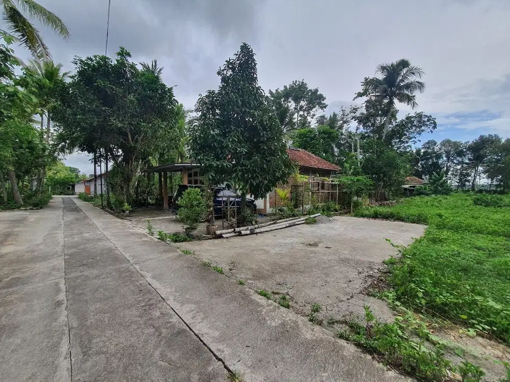 Hanya 25 Menit ke Bandara YIA; Tanah Panjatan View; Kulon Progo