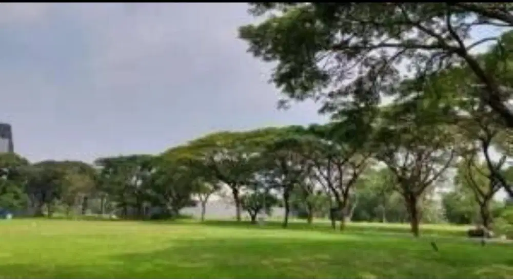 Dijual kavling Palm Spring Pik 2 Ukuran 525m