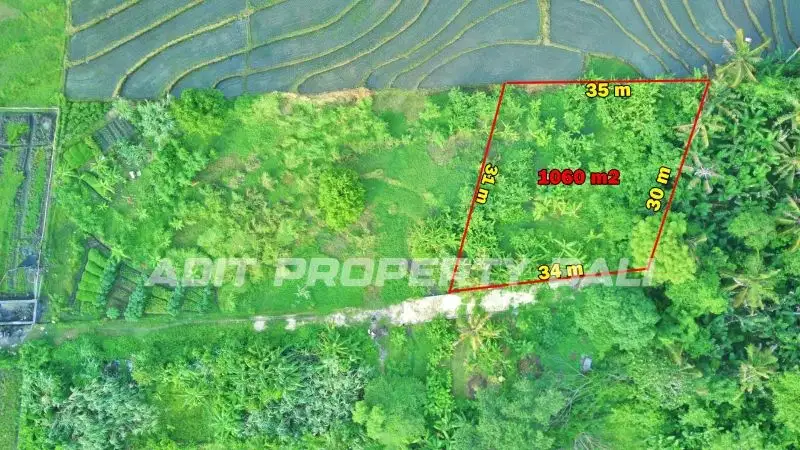 Tanah View Sawah Pantai Nyanyi Kediri Tabanan