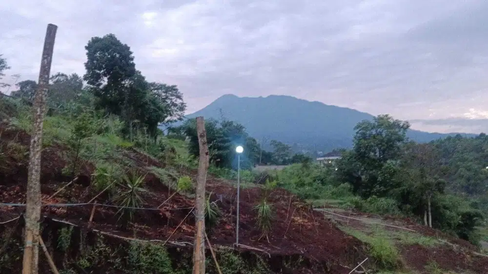 Tanah sultan siap bangun di megamendung puncak bogor