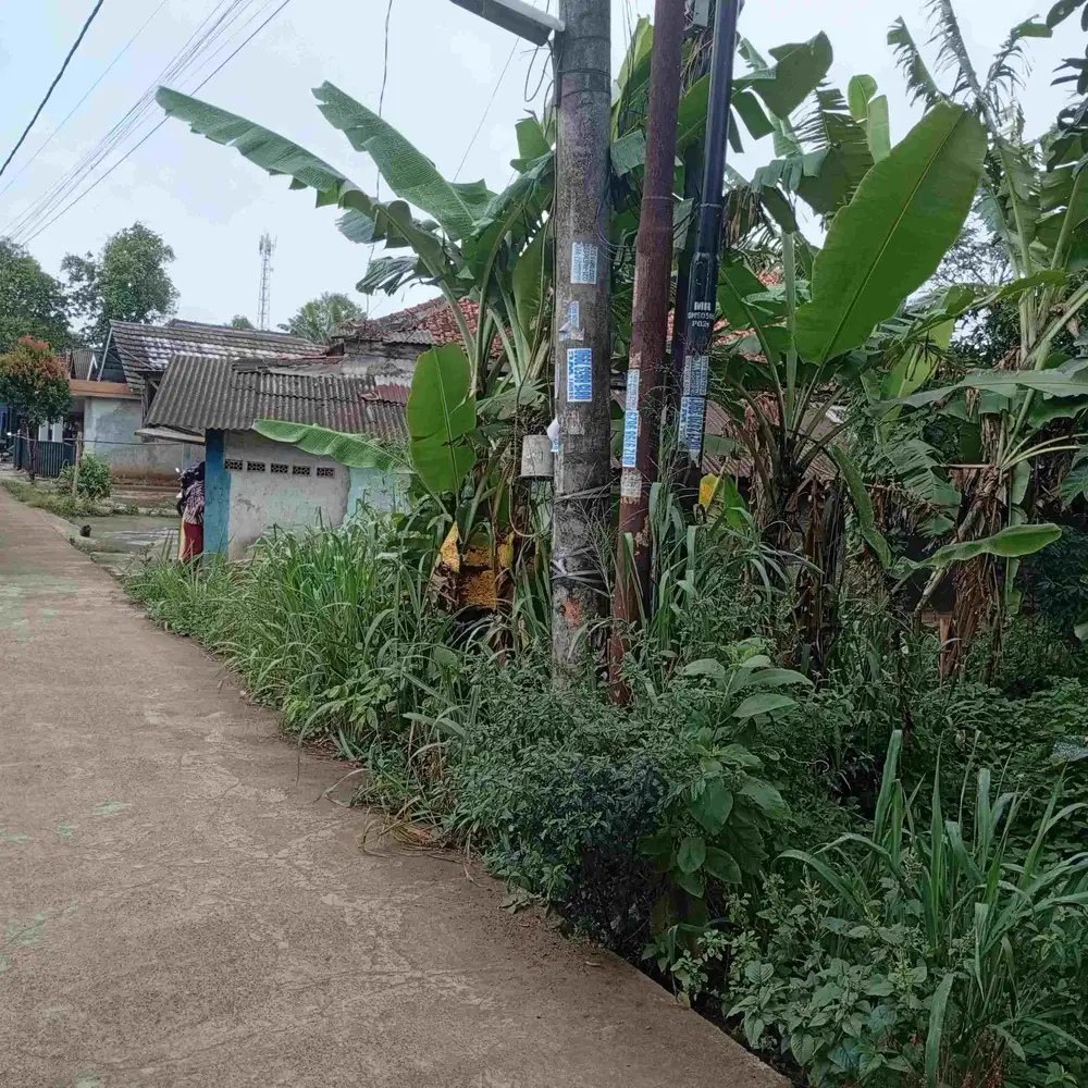 Tanah  355 juta nego GN Sindur lokasi Strategis