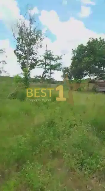 Tanah Murah Luas Cocok Untuk di Pontianak Kalimantan Barat