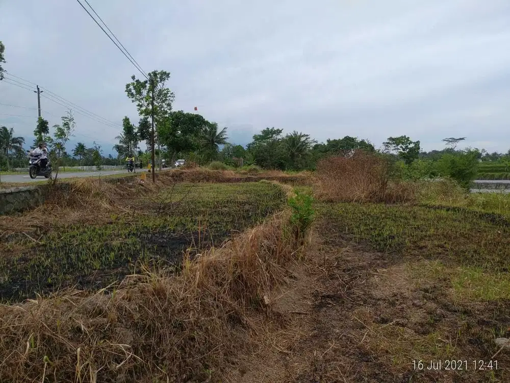 Tanah Mungkid Indah Magelang; Akses Pinggir Jalan; Siap AJB