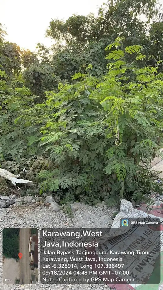 Dijual Tanah Karawang Timur 1.7 Hektar