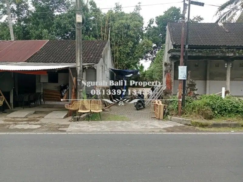 Dijual Tanah Premium Murah Luas 30  Are di Ubud Gianyar Bali - Thumbnail 5