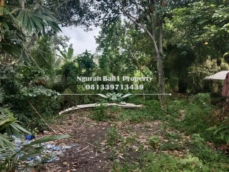 Dijual Tanah Premium Murah Luas 30  Are di Ubud Gianyar Bali - Thumbnail 2