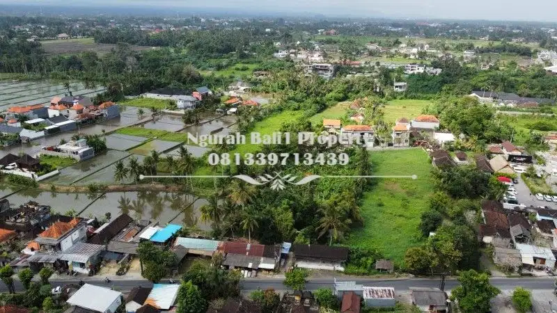 Dijual Tanah Premium Murah Luas 30  Are di Ubud Gianyar Bali - Thumbnail 6