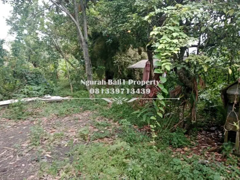 Dijual Tanah Premium Murah Luas 30  Are di Ubud Gianyar Bali - Thumbnail 4