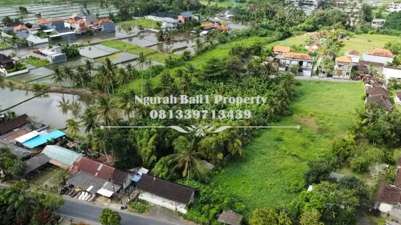 Dijual Tanah Premium Murah Luas 30  Are di Ubud Gianyar Bali - Thumbnail 8