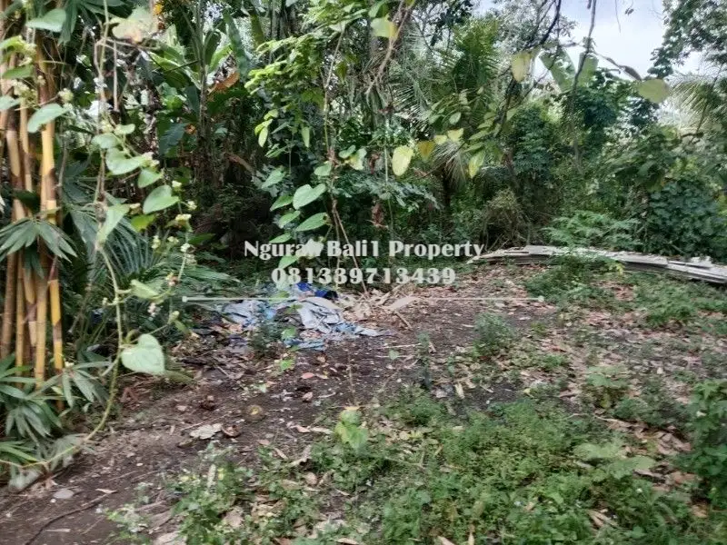 Dijual Tanah Premium Murah Luas 30  Are di Ubud Gianyar Bali - Thumbnail 3