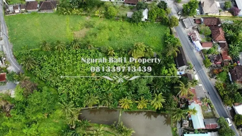 Dijual Tanah Premium Murah Luas 30  Are di Ubud Gianyar Bali - Thumbnail 9