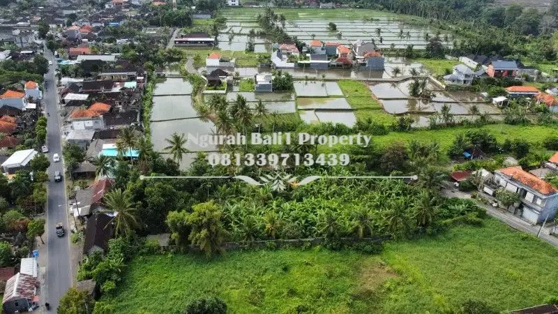 Dijual Tanah Premium Murah Luas 30  Are di Ubud Gianyar Bali - Thumbnail 7