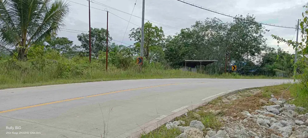 Bismillah Tanah Termurah IKN Sepaku pinggir Jalan Raya 1 Ha SHM