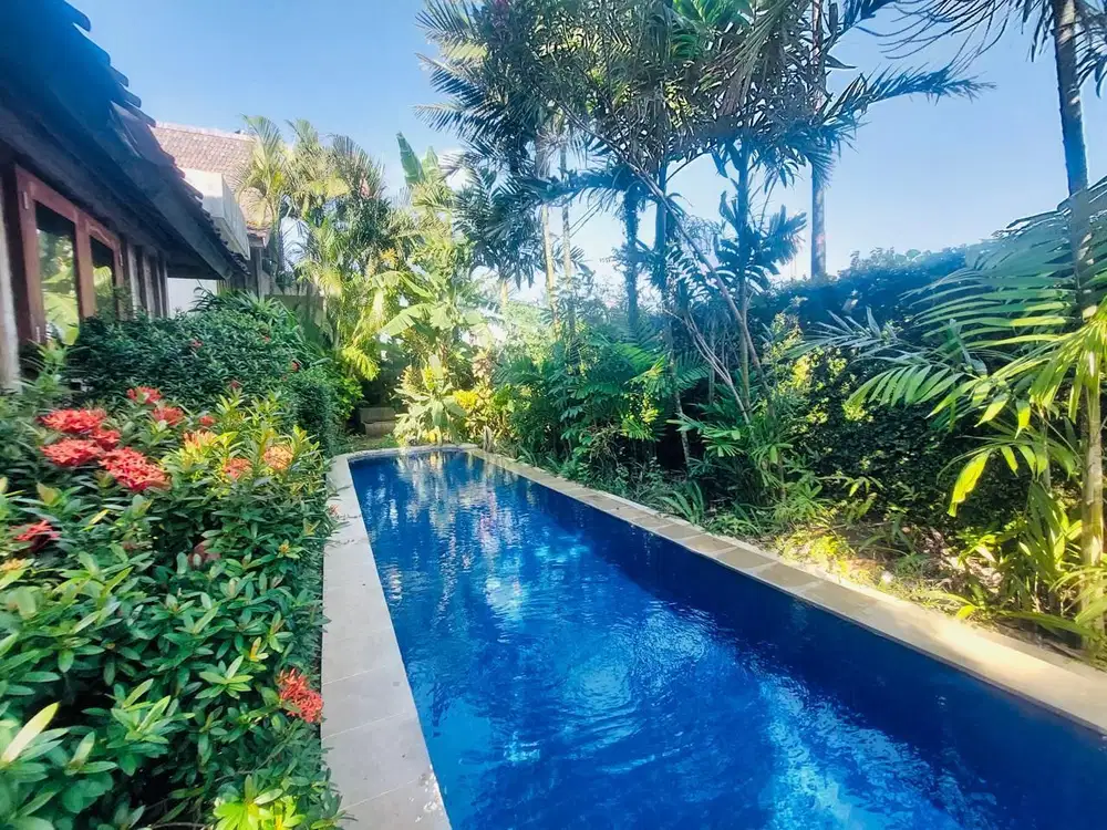 Tanah pantai berawa canggu