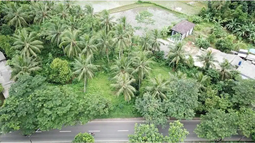 Jual Tanah Di Jalan Raya Petir, Warunggunung - Rangkasbitung, Lebak