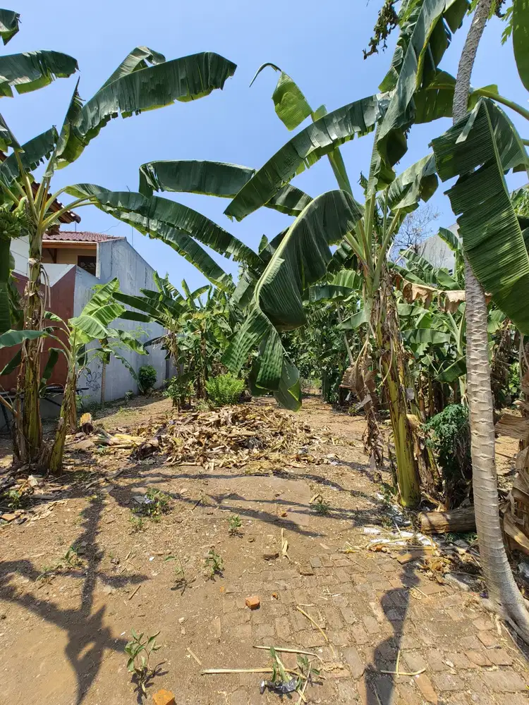 Dijual Tanah Murah Di Duren Sawit Jakarta Timur