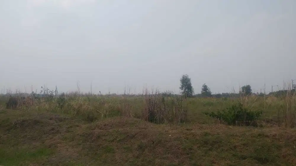 Kavling Indutsri Deltamas Cikarang