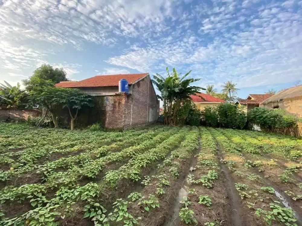 DI JUAL KAVLING SIAP BANGUN DI DAERAH PERUMAHAN CILEGON - BANTEN