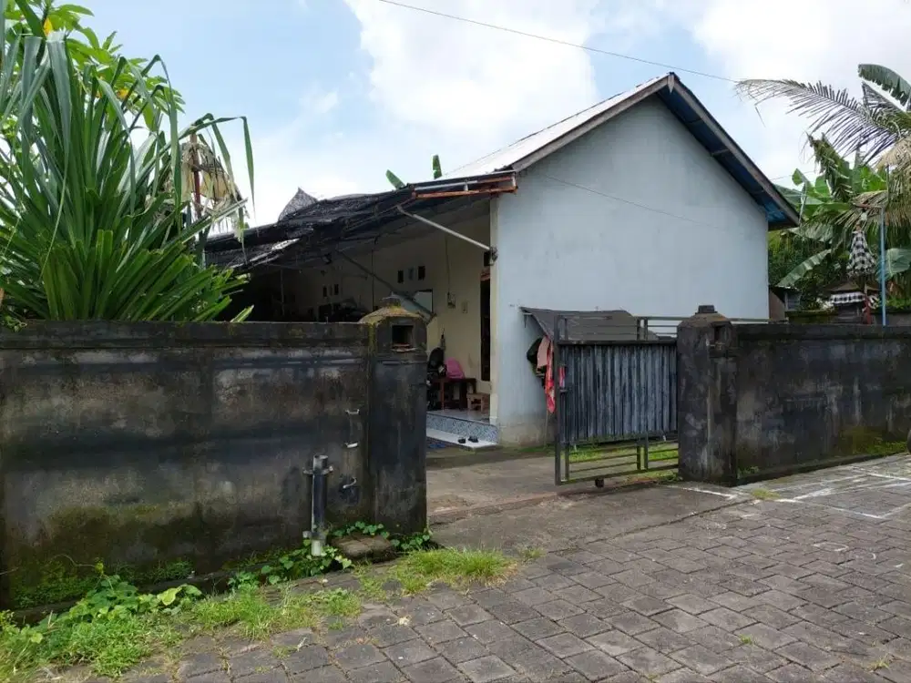 Tanah 2 Are Isi Bangunan Kost di Antasura Peguyangan Dkt Ayani SMAN 8