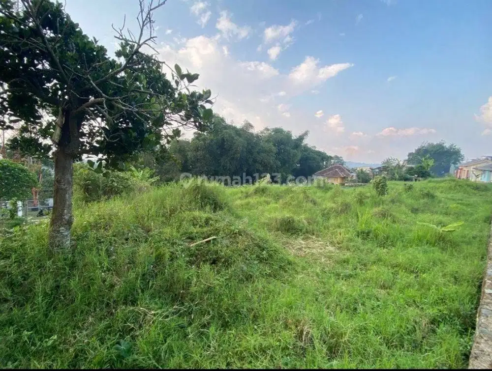 Dijual Tanah kebun di Kampung pasukan Cipanas, Cianjur Lt. 775