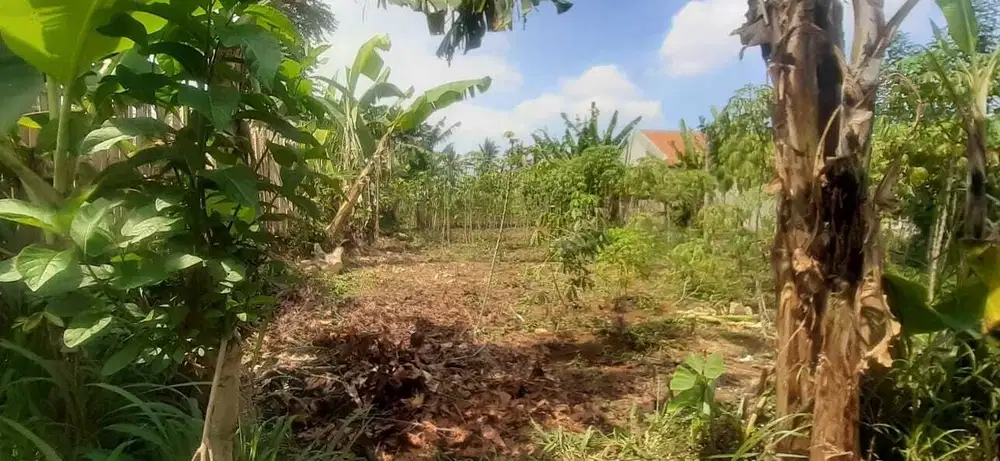 Dijual Kavling mainroad di Ngamprah