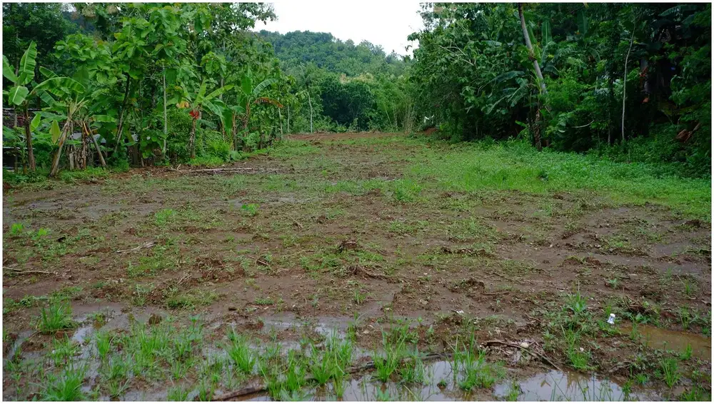 Pesona Imogiri Bantul; Akses Jalan Luas; Cocok Untuk Hunian Pribadi