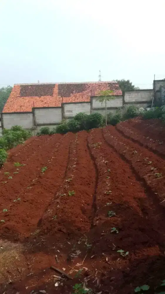 lahan murah dibawah harga 1500mter surat AJB