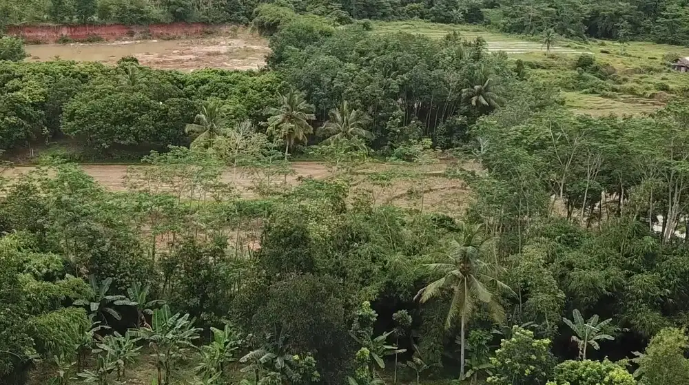 Jual Tanah Di Rangkasbitung - Lebak, Banten