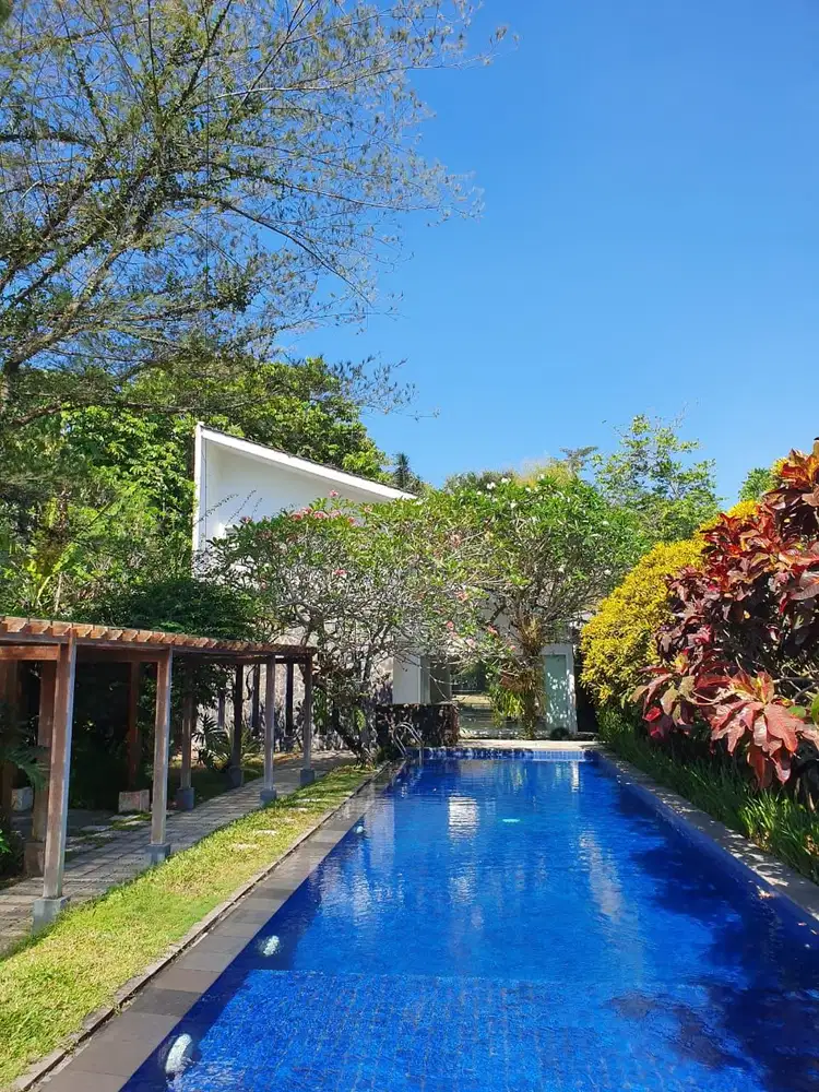 Rumah /Villa Nyaman dgn Swimming Pool jl . Palagan