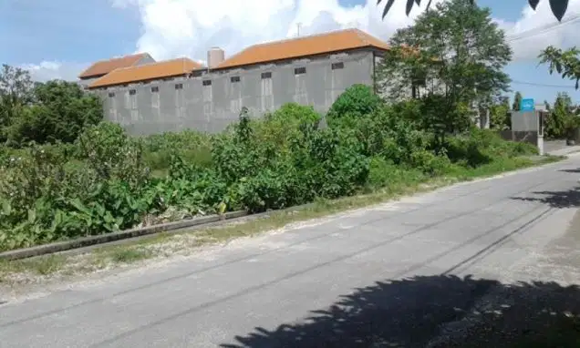 Tanah 867 are di jlPura Demak Denpasar dkt Teuku UmarMahendradataKerobokan - Usman Hadi Saputro