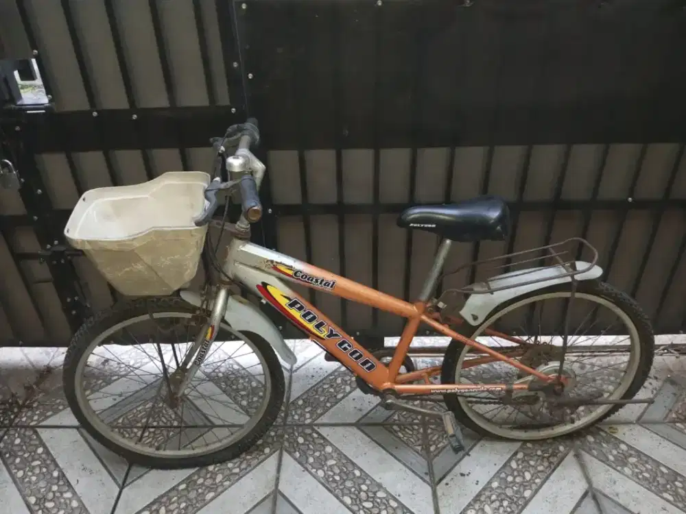 Sepeda Polygon Coastal 20 Inch Silver Orange Metalic Real Picture Nego