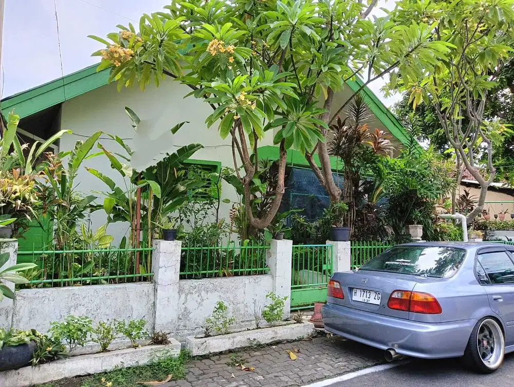 Rumah Tua Hitung Tanah Jalan Jeruk Lampersari Dekat Java Mall