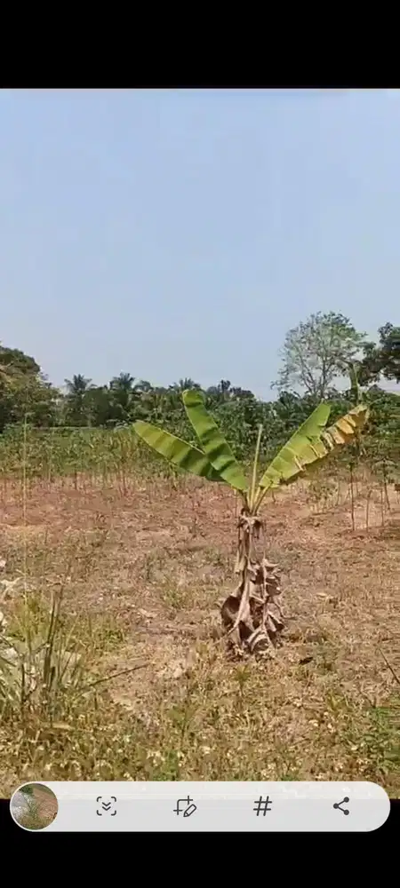 Dijual Kavling di Jl Raya Balaraja, Tangerang