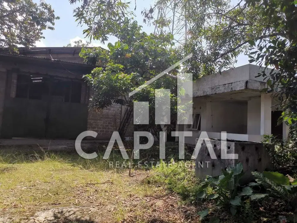 Gudang Sadang Cocok Banget Buat Support Bisnismu