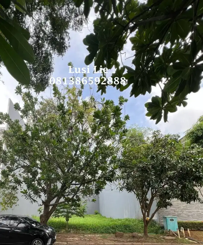 Kavling Katamaran Permai Pik luas 560 m2, harga murah