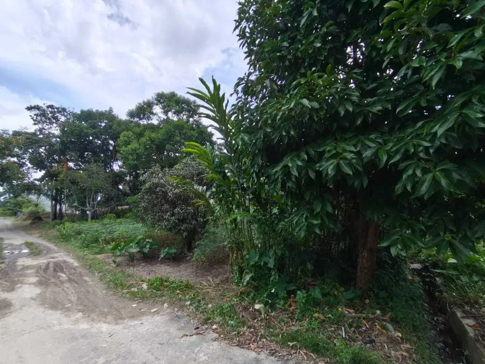 Tanah kosong lokasi strategis