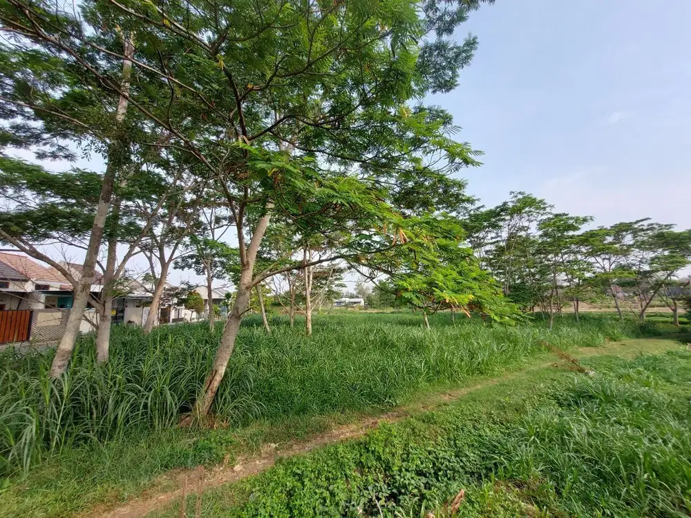 Tanah Ideal Cocok Untuk Pengembang Perumahan Area Dekat Kampus Solo
