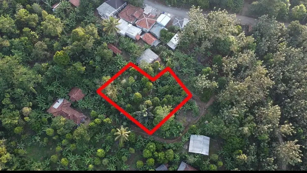 Dijual Murah Tanah Kebun Bisa Akses Mobil di Bojong Purwakarta