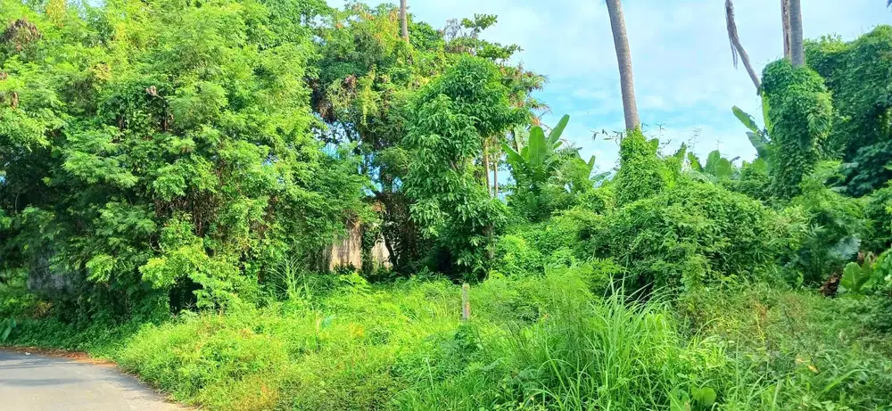 Tanah 3250 M2 Di Keramas Dkt By Pass Ida Bagus Mantra Gianyar Bali