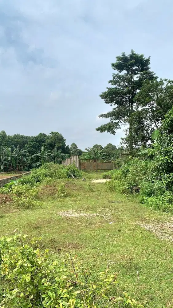 JUAL CEPAT TANAH CIKEUSAL SERANG