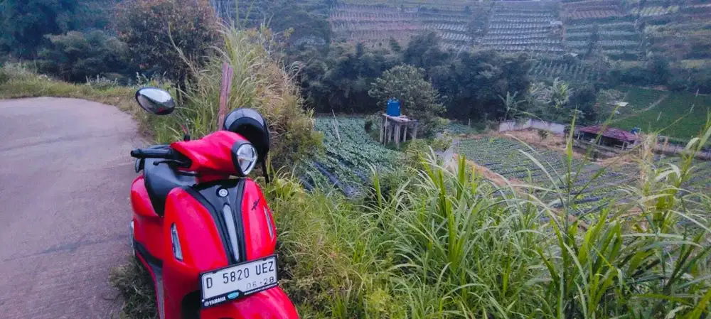 Di jual tanah murah lembang ciputri