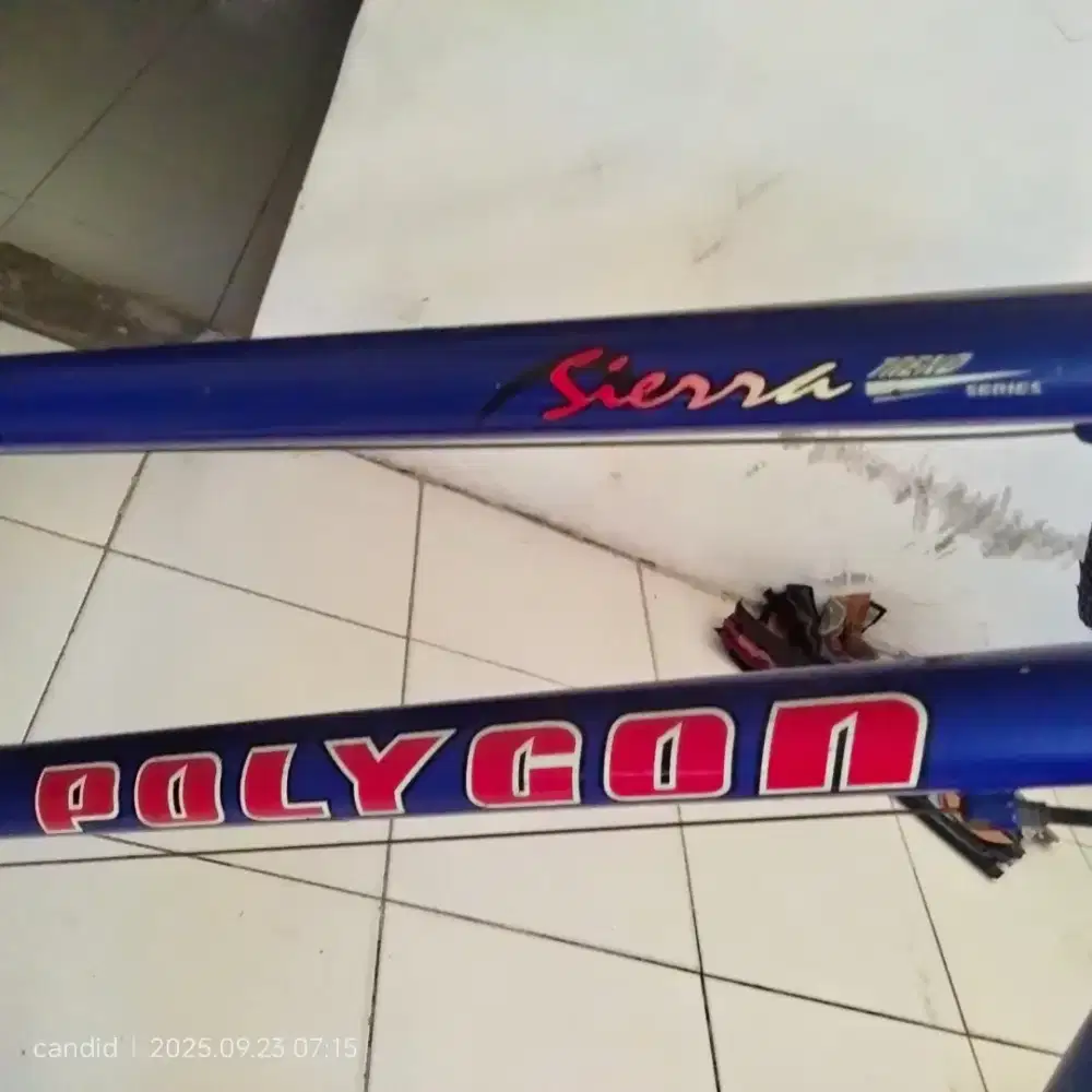 Sepeda polygon sierra